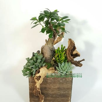 Andres Aguilar Designs - Florists Near Me - Miami, Florida Andres Aguilar Designs - Florists Near Me - Miami, Florida