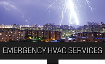 Slide of The Severn Group