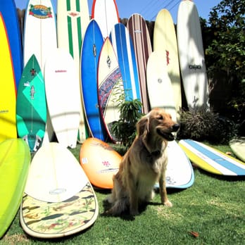 One Wave Surf - Surfing Near Me One Wave Surf - Surfing Near Me