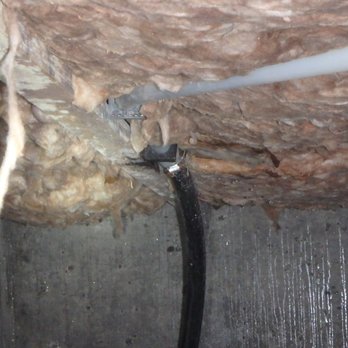 Anthem Inspections - A water main leaking in the crawlspace for several years. Biological growth was abundant. - Home Inspectors Near Me Anthem Inspections - A water main leaking in the crawlspace for several years. Biological growth was abundant. - Home Inspectors Near Me