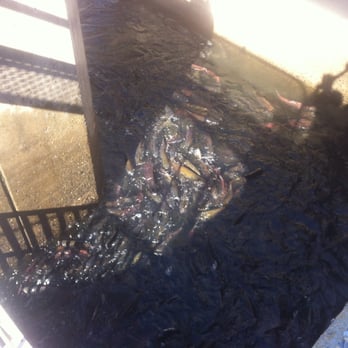 Nimbus Fish Hatchery - Aquariums Near Me - Gold River, California