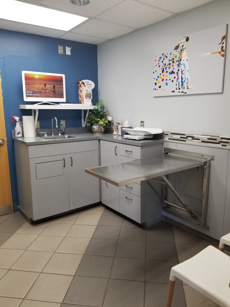 SAINT FRANCIS ANIMAL HOSPITAL 17 Photos & 19 Reviews 1308 Virginia