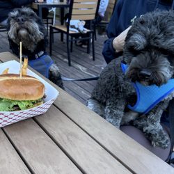 Toad's BARn & Grill - Outdoor area