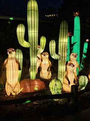Riverbanks Zoo & Garden by null