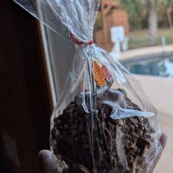 Scoops Watkinsville - Crazy big candy apple!