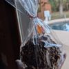 Scoops Watkinsville gift card