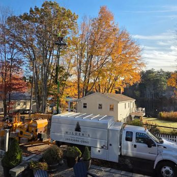 Wilders Tree Service - Wilder's leaving a property better than they found it - Tree Services Near Me Wilders Tree Service - Wilder's leaving a property better than they found it - Tree Services Near Me