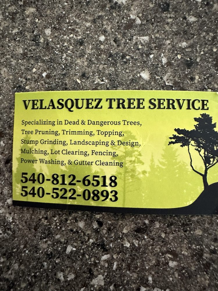 Velasquez Tree Service - tree service in Raleigh, NC