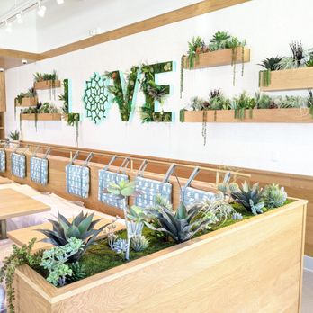 Area Indoor Plants - Faux plant install with hanging pots and signage. - Landscape Architects or Designers Near Me Area Indoor Plants - Faux plant install with hanging pots and signage. - Landscape Architects or Designers Near Me