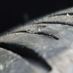 Metro Motor - Another nail