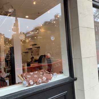 Pounce Cat Cafe - Themed Cafes Near Me - Savannah, Georgia Pounce Cat Cafe - Themed Cafes Near Me - Savannah, Georgia