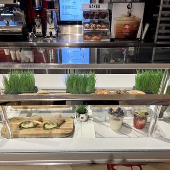 8 1/2 Caffe & Bottega - Coffee & Tea Near Me - Miami, Florida 8 1/2 Caffe & Bottega - Coffee & Tea Near Me - Miami, Florida