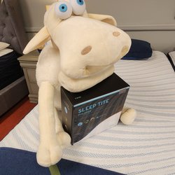 Connecticut Mattress