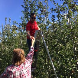 Apple picking! Apple picking!
