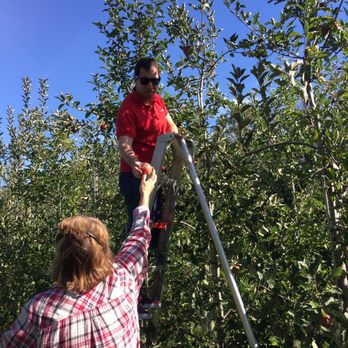 Solebury Orchards - Apple picking! - Fruits & Veggies Near Me - New Hope, Pennsylvania Solebury Orchards - Apple picking! - Fruits & Veggies Near Me - New Hope, Pennsylvania