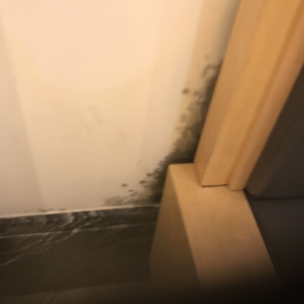 MingHin Cuisine - Here's the mold! - Dim Sum Near Me - Rolling Meadows, Illinois MingHin Cuisine - Here's the mold! - Dim Sum Near Me - Rolling Meadows, Illinois