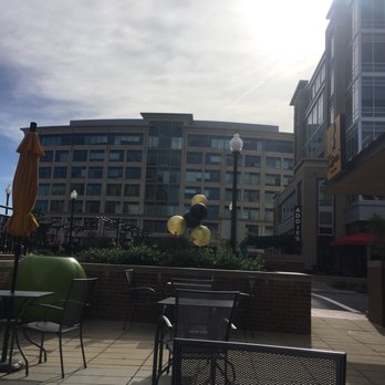 Filicori Zecchini - My view outside - Coffee & Tea Near Me - Potomac, Maryland