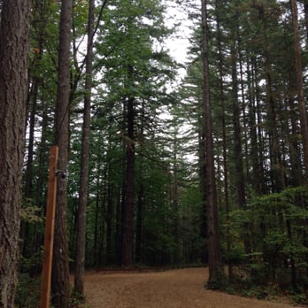 YMCA Camp Collins - Summer Camps Near Me - Gresham, Oregon