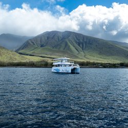 Maui Magic Snorkel