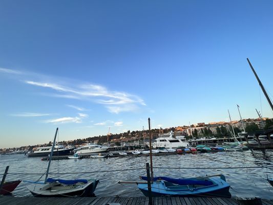 Lake Union Park by null