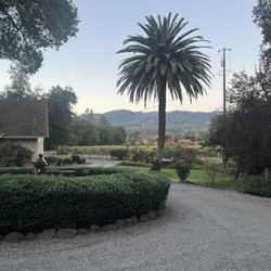 Scarlett's Vacation Rental - View to the Mayacamas