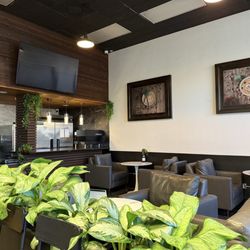 Mi Flor Mayor Coffee & Co - Cozy Seating