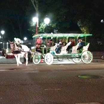 The Mercantile Hotel New Orleans, LA - Beautiful horse pulled carriage seen on streets near hotel. - Hotels Near Me - New Orleans, Louisiana The Mercantile Hotel New Orleans, LA - Beautiful horse pulled carriage seen on streets near hotel. - Hotels Near Me - New Orleans, Louisiana