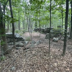 Old Boston Preserve - The Boston farmstead foundations