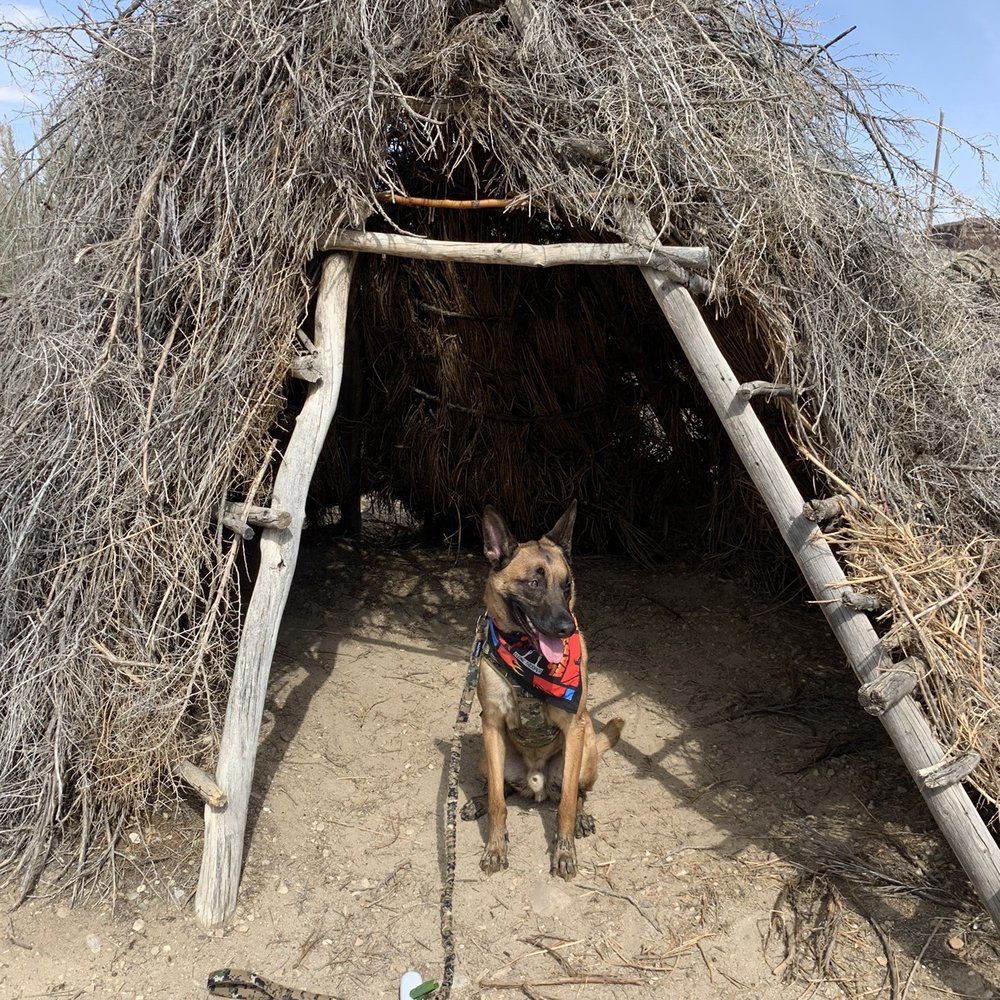 Celebration Park - Oh- a teepee? I'm in! - Parks Near Me - Melba, Idaho Celebration Park - Oh- a teepee? I'm in! - Parks Near Me - Melba, Idaho