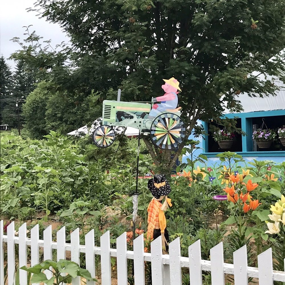 Valentina Farm - Bryant Blueberry Farm - Farmers Market Near Me - Arlington, Washington