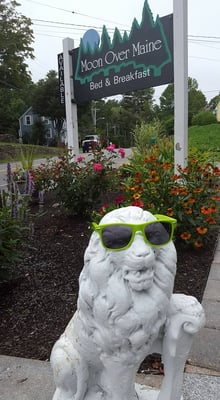 Moon Over Maine by null