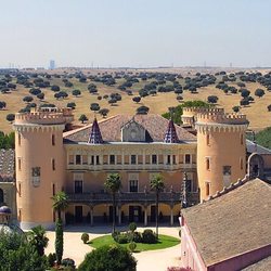 Castillo de Viñuelas