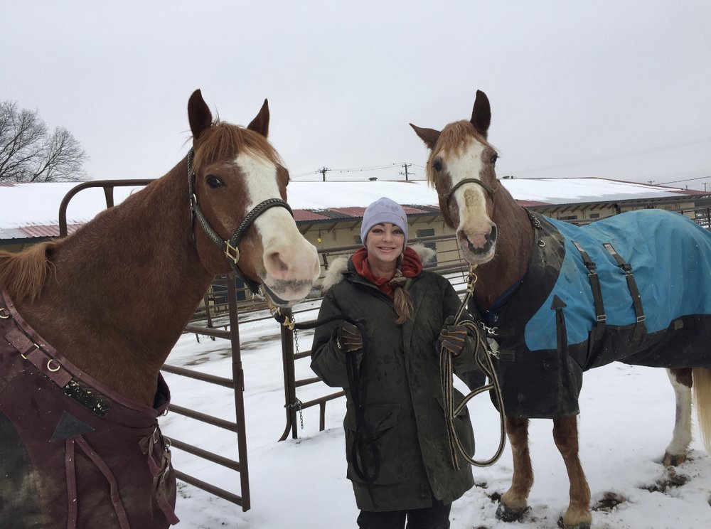 Texas Equine Assisted Psychotherapy - grief counselor in San Antonio, TX