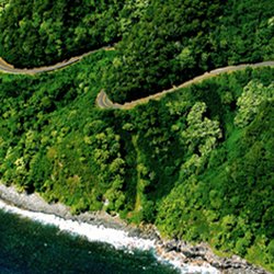 Tour the Road to Hana - call 877-747-7702