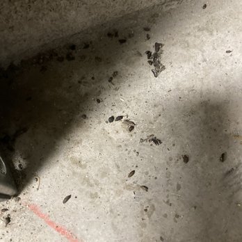 SecurCare Self Storage - Rat shit on floor - Self Storage Near Me - Duarte, California