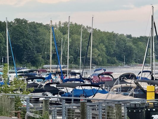 Acqua Restaurant-White Bear Lake by null