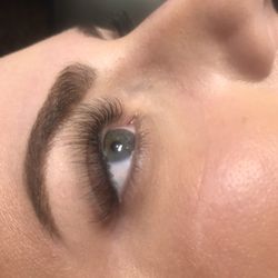 Plush Lash Co.