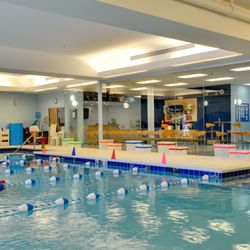 Little Flippers Swim School - Natick