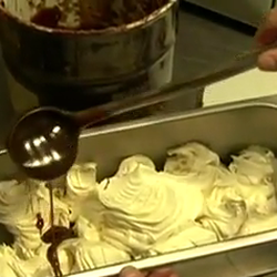 Gelateria Cucchi