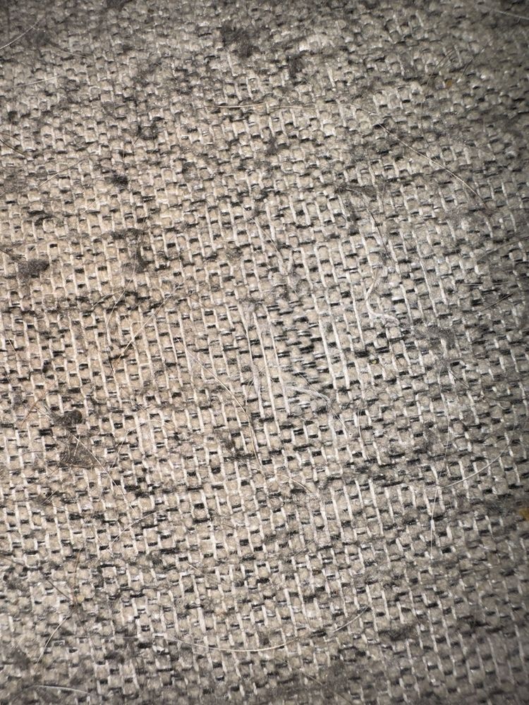 BERNIE & PHYL’S FURNITURE Updated August 2024 11 Reviews 303