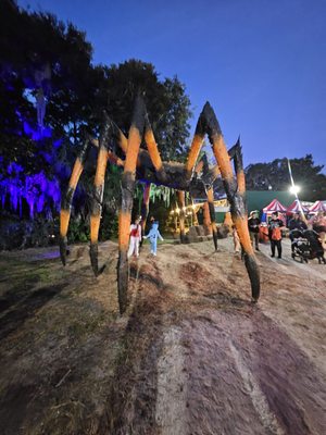 Jacksonville Zoo and Botanical Gardens by null