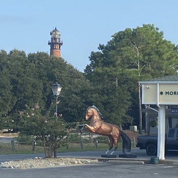 Back Beach Wild Horse Tours - Tours Near Me - Corolla, North Carolina