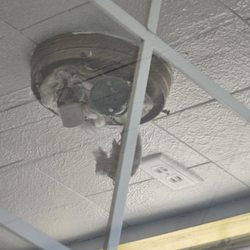 Bentley's B-M-L Diner - Light fixture.