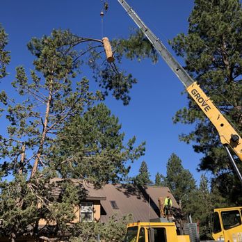 Timber Stand Improvement - Hazard tree removal with crane - Tree Services Near Me