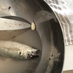 Moonee Ponds Seafoods