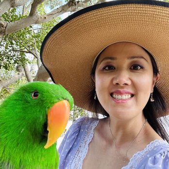 Free Flight - So so green! - Animal Shelters Near Me - Del Mar, California