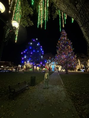 The Piccolo at Paso Robles Inn by null
