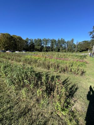 Riverview Farm by null