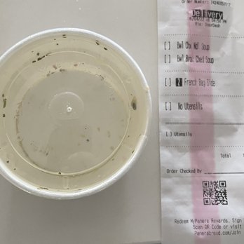 Panera Bread - Panera - delivery - Ordered and paid for a bowl got a cup (more incompetent workers) - Sandwiches Near Me - Fort Lauderdale, Florida