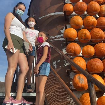 In the Nature of Things　Jack Stuler Disney 24-Count 4-ft Flickering LED Plug-In Multicolor